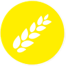 Gluten Gluten